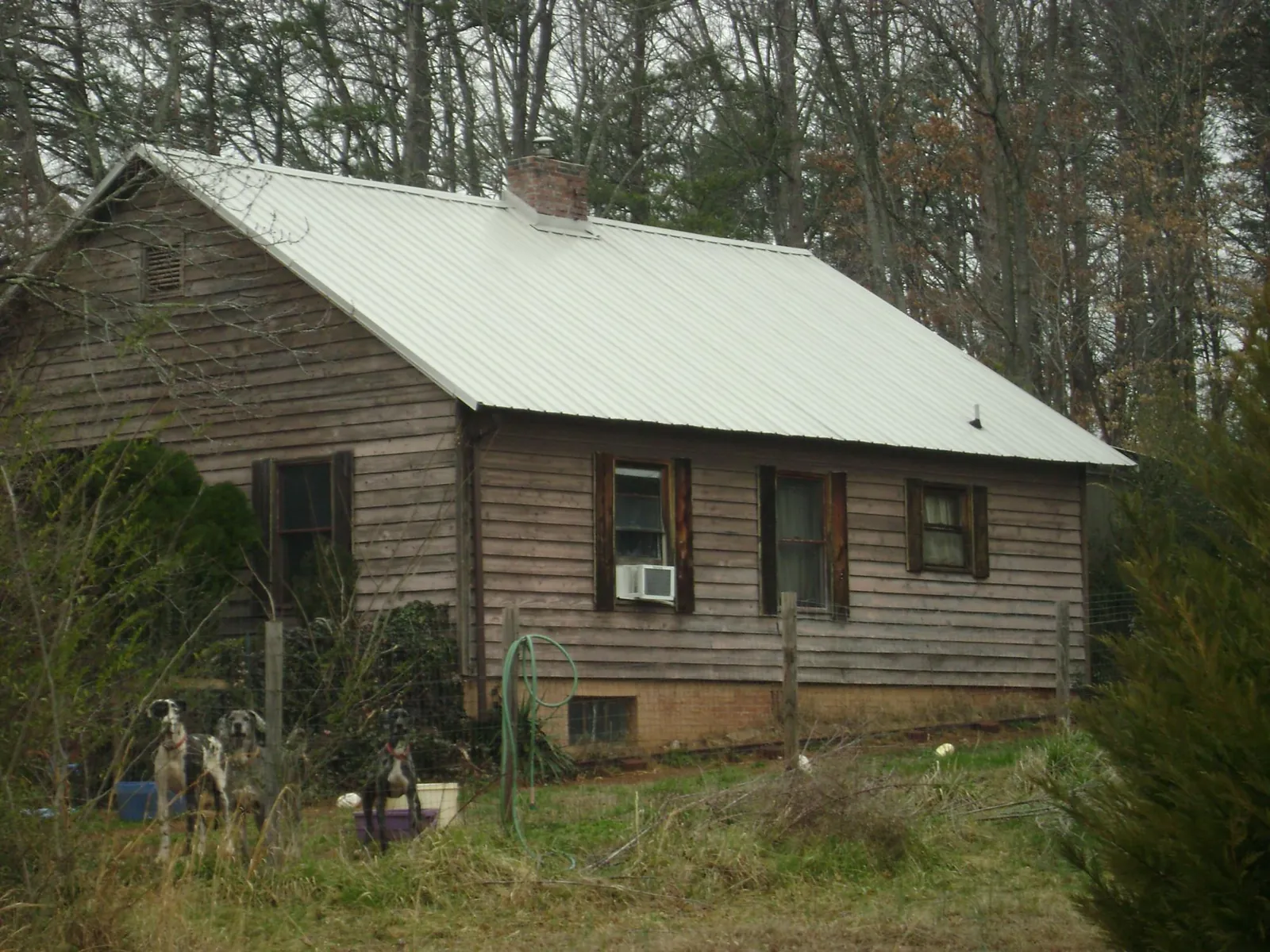 White metal roof on an old wood sided farmhouse, from a Asphalt Shingle Roof Repair job in Goldsmith